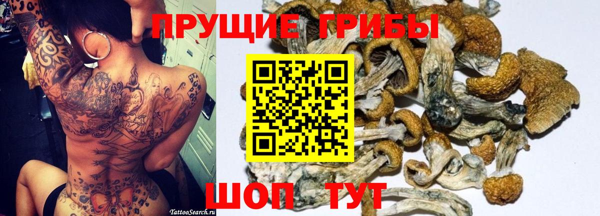 Тула  Псилоцибиновые грибы Psilocybine cubensis  Вход с VPN 